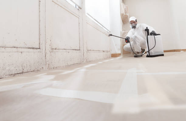 24/7 Emergency Commercial Mold Remediation experts in South Boston, VA